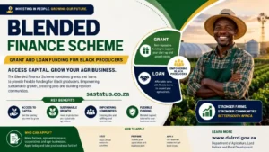 Blended Finance Scheme