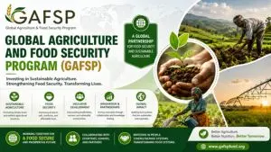 GAFSP